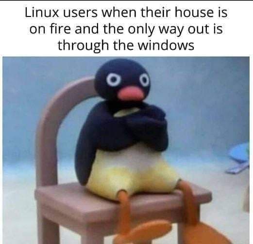 Meme (16)