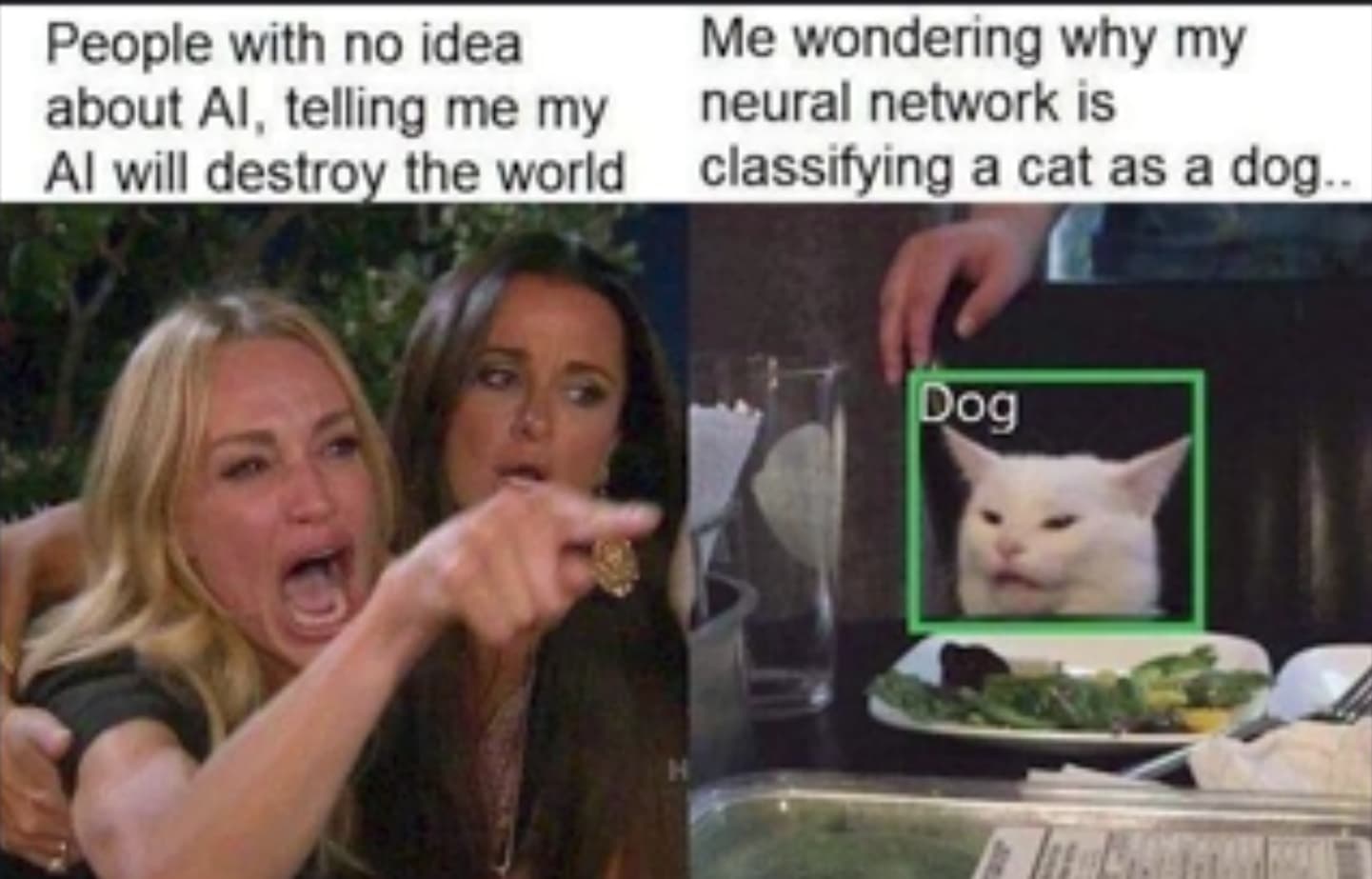 Meme (4)