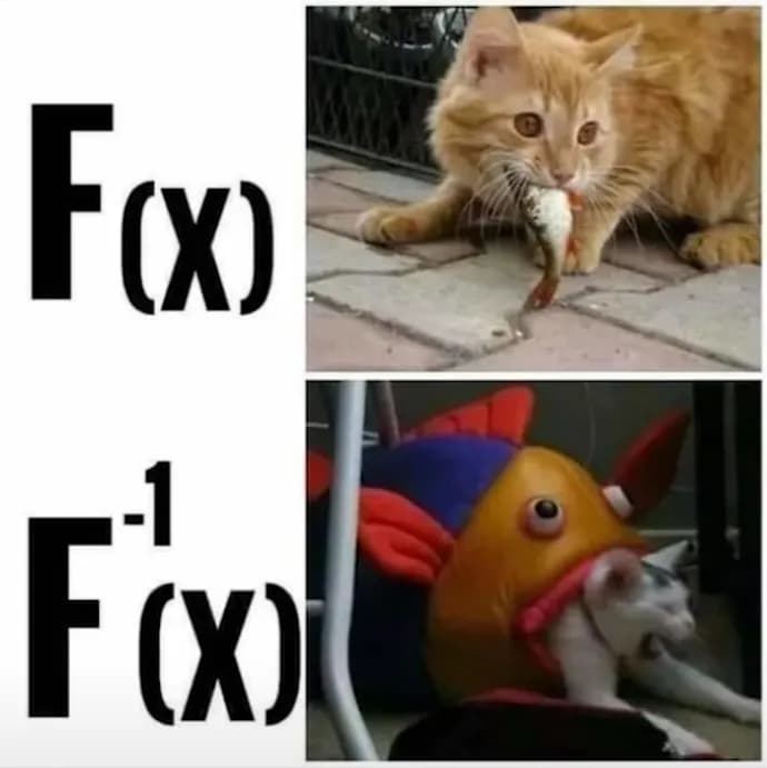 Meme (5)