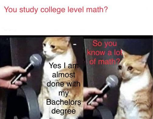 Meme (7)