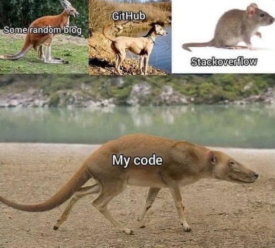 Meme (8)